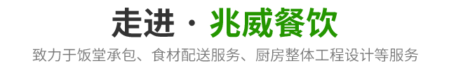 走进兆威