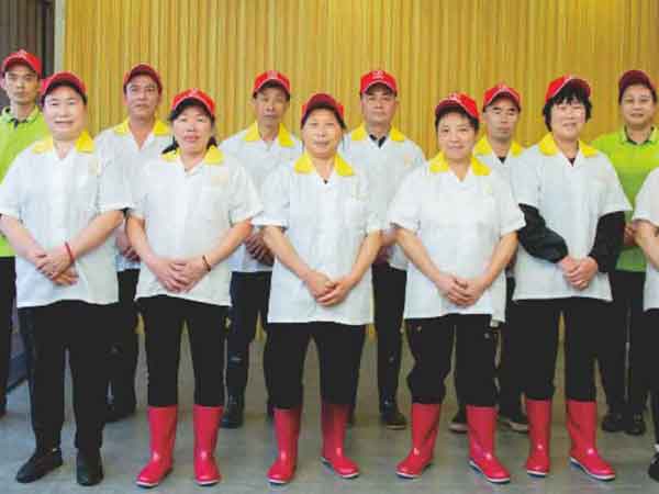 服务团队